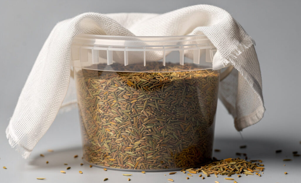 Grass Seed in a plastic bucket with a cheesecloth